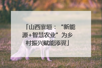山西襄垣：“新能源+智慧农业”为乡村振兴赋能添翼