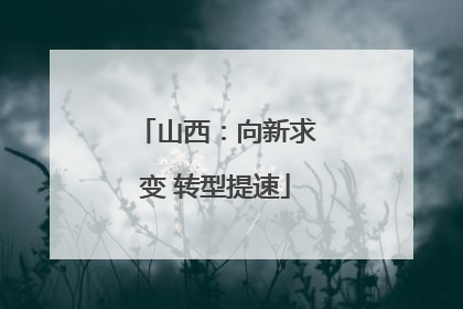 山西：向新求变 转型提速