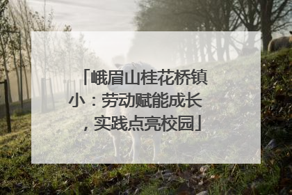 峨眉山桂花桥镇小：劳动赋能成长，实践点亮校园