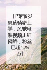 巴西9岁男孩骑猪上学，风驰电掣视频走红网络，粉丝已超125万