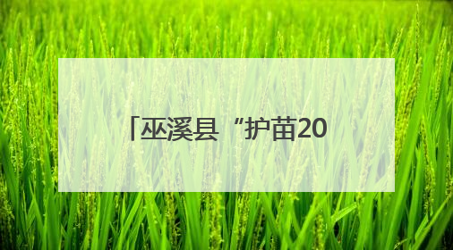 巫溪县“护苗2025”暨“缤纷六一筑童梦 护苗行动伴成长”活动启动