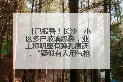 已报警！长沙一小区多户玻璃爆裂，业主称明显有弹孔痕迹，“疑似有人用气枪打鸟造成”