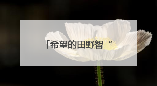 希望的田野智“绘”好“丰”景 “三夏”生产向“新”而行