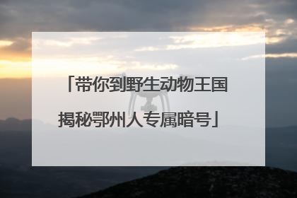 带你到野生动物王国揭秘鄂州人专属暗号