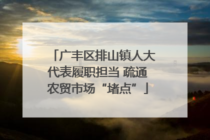 广丰区排山镇人大代表履职担当 疏通农贸市场“堵点”