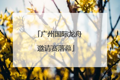 广州国际龙舟邀请赛落幕