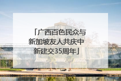 广西百色民众与新加坡友人共庆中新建交35周年