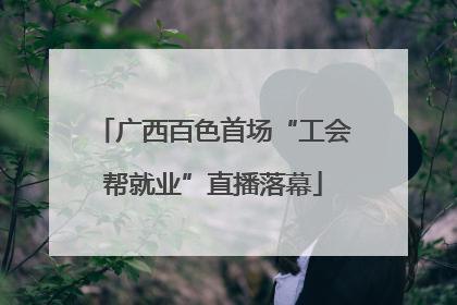 广西百色首场“工会帮就业”直播落幕