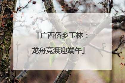 广西侨乡玉林：龙舟竞渡迎端午