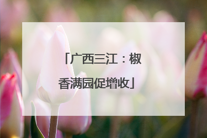 广西三江：椒香满园促增收