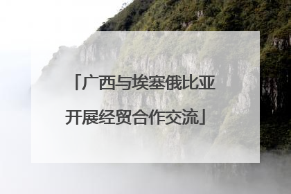广西与埃塞俄比亚开展经贸合作交流