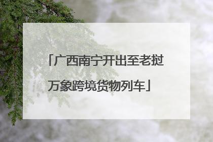 广西南宁开出至老挝万象跨境货物列车