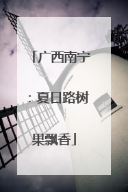 广西南宁：夏日路树果飘香