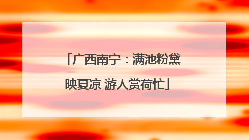 广西南宁：满池粉黛映夏凉 游人赏荷忙