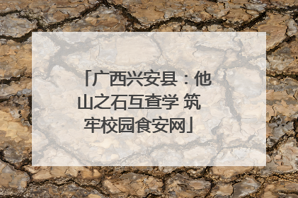 广西兴安县：他山之石互查学 筑牢校园食安网