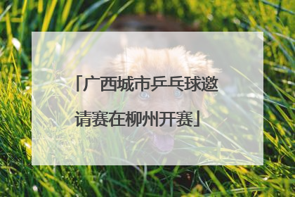 广西城市乒乓球邀请赛在柳州开赛