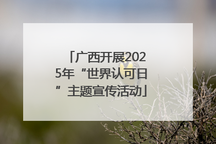 广西开展2025年“世界认可日”主题宣传活动