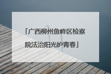 广西柳州鱼峰区检察院法治阳光护青春