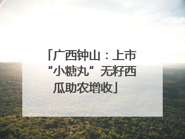 广西钟山：上市“小糖丸”无籽西瓜助农增收