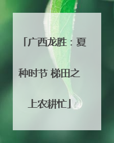 广西龙胜：夏种时节 梯田之上农耕忙