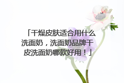 干燥皮肤适合用什么洗面奶，洗面奶品牌干皮洗面奶哪款好用！