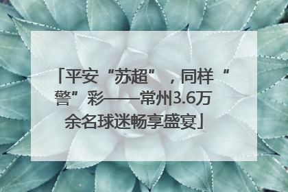 平安“苏超”，同样“警”彩——常州3.6万余名球迷畅享盛宴