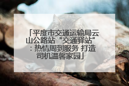 平度市交通运输局云山公路站“交通驿站”：热情周到服务 打造司机温馨家园