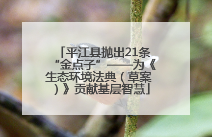 平江县抛出21条“金点子”——为《生态环境法典（草案）》贡献基层智慧
