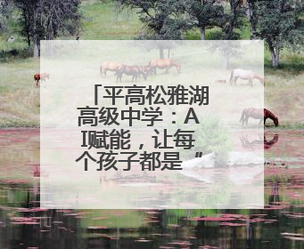 平高松雅湖高级中学：AI赋能，让每个孩子都是“重点学生”