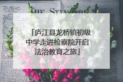 庐江县龙桥镇初级中学走进检察院开启法治教育之旅