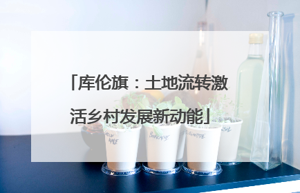 库伦旗：土地流转激活乡村发展新动能