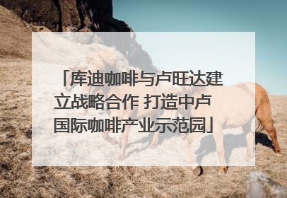 库迪咖啡与卢旺达建立战略合作 打造中卢国际咖啡产业示范园