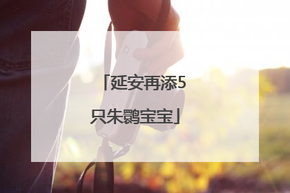 延安再添5只朱鹮宝宝