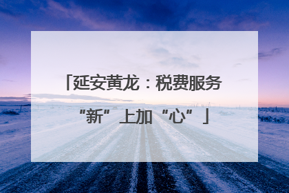 延安黄龙：税费服务“新”上加“心”