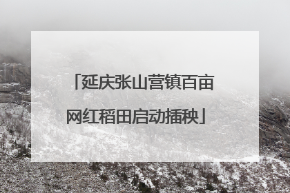 延庆张山营镇百亩网红稻田启动插秧