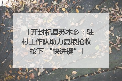 开封杞县苏木乡：驻村工作队助力夏粮抢收按下 “快进键”