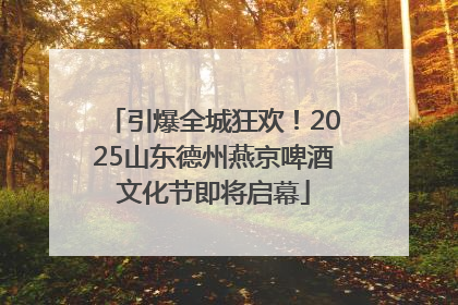 引爆全城狂欢！2025山东德州燕京啤酒文化节即将启幕
