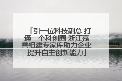 引一位科技副总 打通一个科创圈 浙江嘉善组建专家库助力企业提升自主创新能力