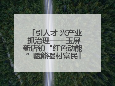 引人才 兴产业 抓治理——玉屏新店镇“红色动能”赋能强村富民