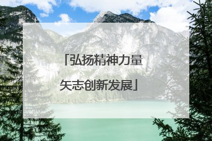 弘扬精神力量 矢志创新发展