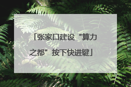 张家口建设“算力之都”按下快进键