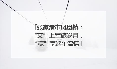张家港市凤凰镇：“艾”上军旅岁月，“粽”享端午温情
