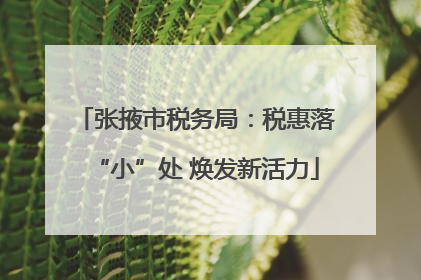 张掖市税务局：税惠落“小”处 焕发新活力