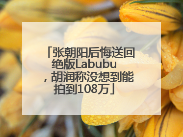 张朝阳后悔送回绝版Labubu，胡润称没想到能拍到108万