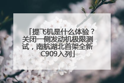提飞机是什么体验？关闭一侧发动机极限测试，南航湖北首架全新C909入列