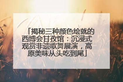 揭秘三种颜色绘就的西博会甘孜馆：沉浸式观赏非遗歌舞展演，高原美味从头吃到尾
