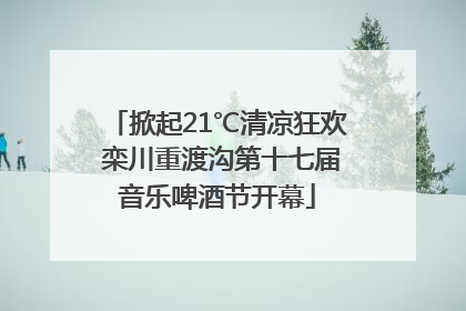 掀起21℃清凉狂欢 栾川重渡沟第十七届音乐啤酒节开幕