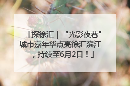 探徐汇｜“光影夜巷”城市嘉年华点亮徐汇滨江，持续至6月2日！