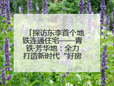 探访东李首个地铁连通住宅——青铁·芳华地：全力打造新时代“好房子”人居标杆