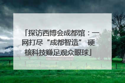 探访西博会成都馆：一网打尽“成都智造” 硬核科技赚足观众眼球